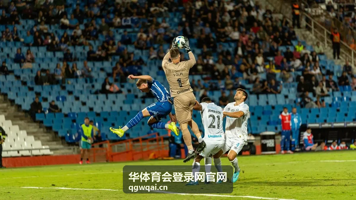 登录方式选择界面：手机号验证码登录与账号密码登录