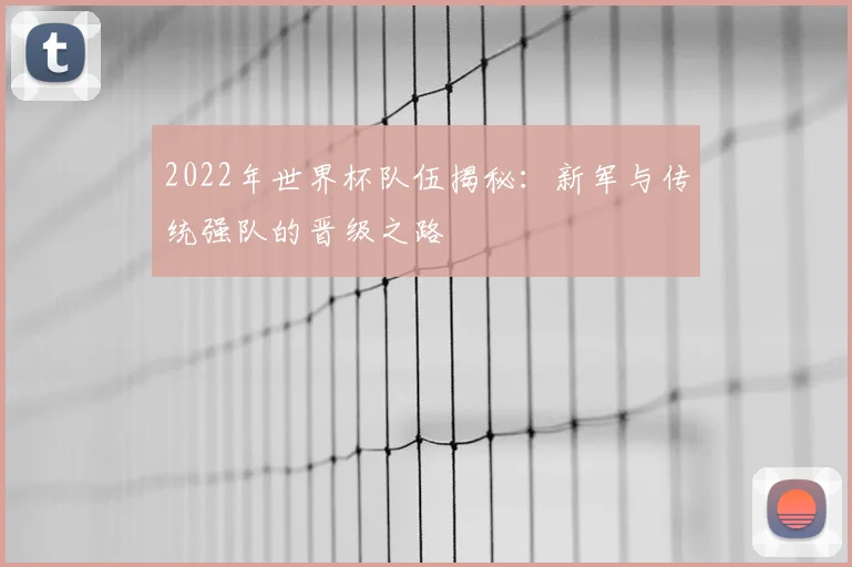 2022年世界杯队伍揭秘：新军与传统强队的晋级之路
