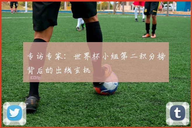 专访专家:世界杯小组第二积分榜背后的出线玄机