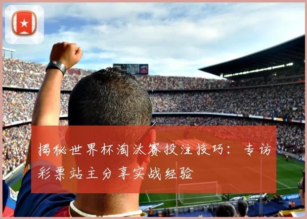 揭秘世界杯淘汰赛投注技巧:专访彩票站主分享实战经验