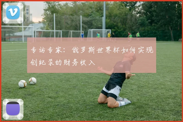 专访专家:俄罗斯世界杯如何实现创纪录的财务收入