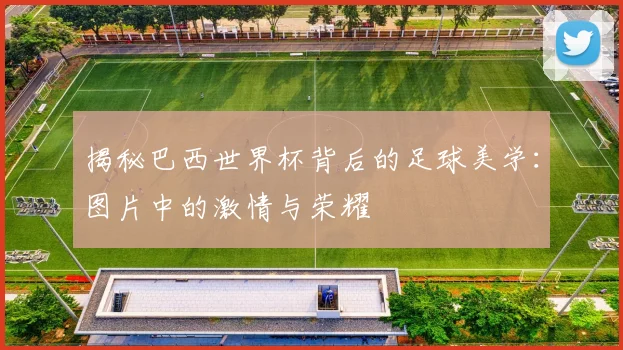 揭秘巴西世界杯背后的足球美学:图片中的激情与荣耀